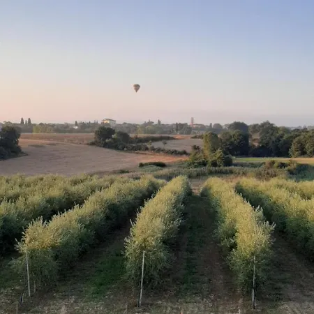 Casa Del Nonno Bingheri 코르토나