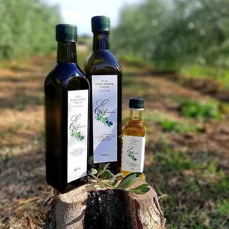 Casa Del Nonno Bingheri 코르토나