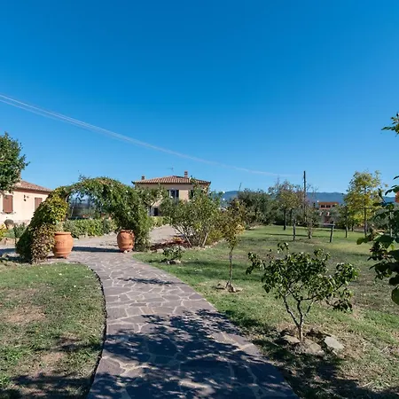 Casa Del Nonno Bingheri Agroturismo Cortona