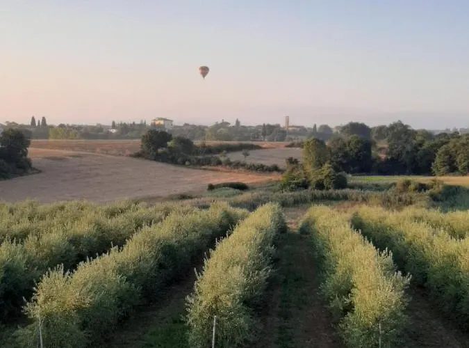 Casa Del Nonno Bingheri Κορτόνα