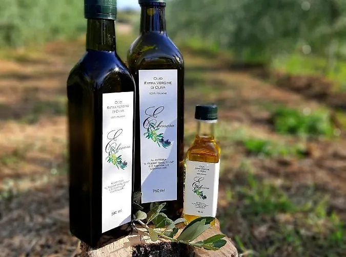 Casa Del Nonno Bingheri Κορτόνα